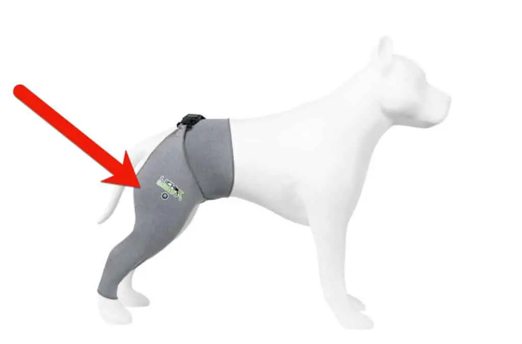 lick sleeve for injured dog leg