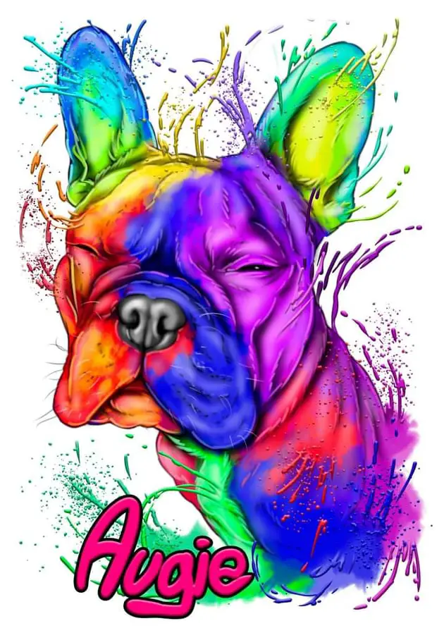 French Bulldog Art - Augie