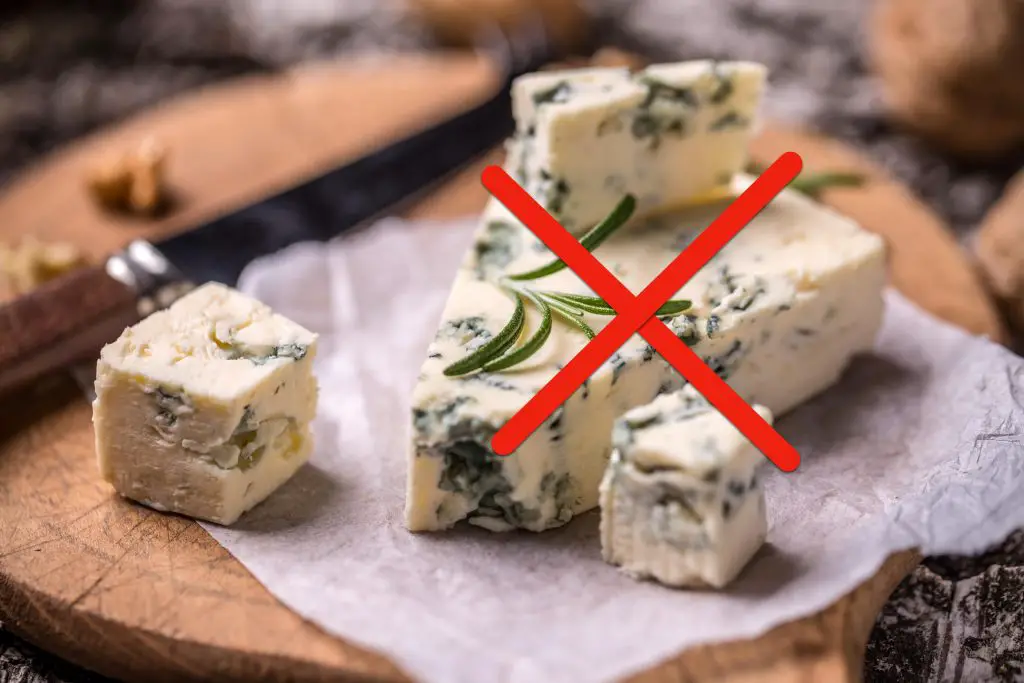 blue cheese not good for dogs