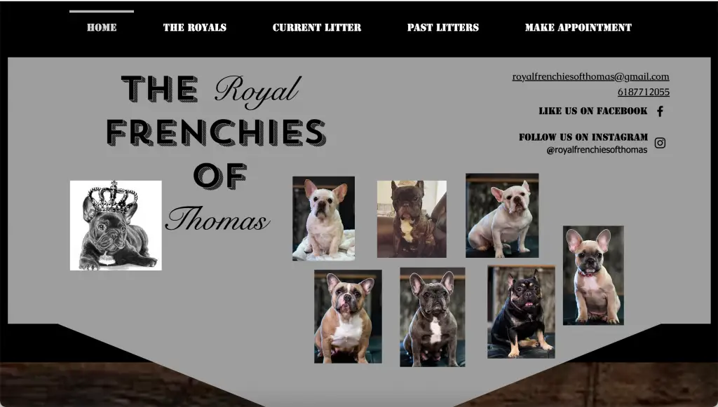 the royal frenchies of thomas illinois