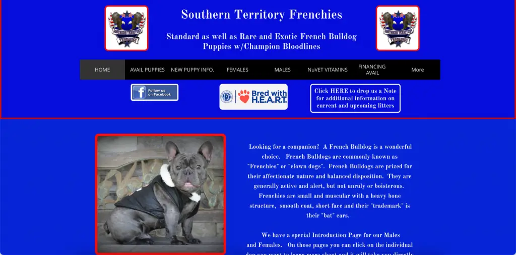 Southern Territory Frenchies Georgia