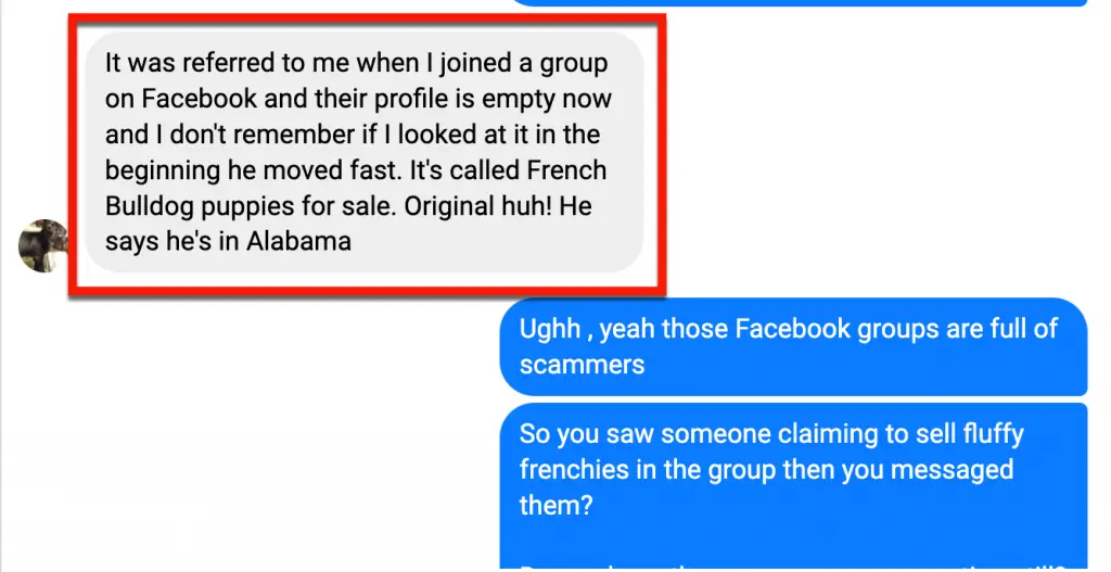 frenchie scam
