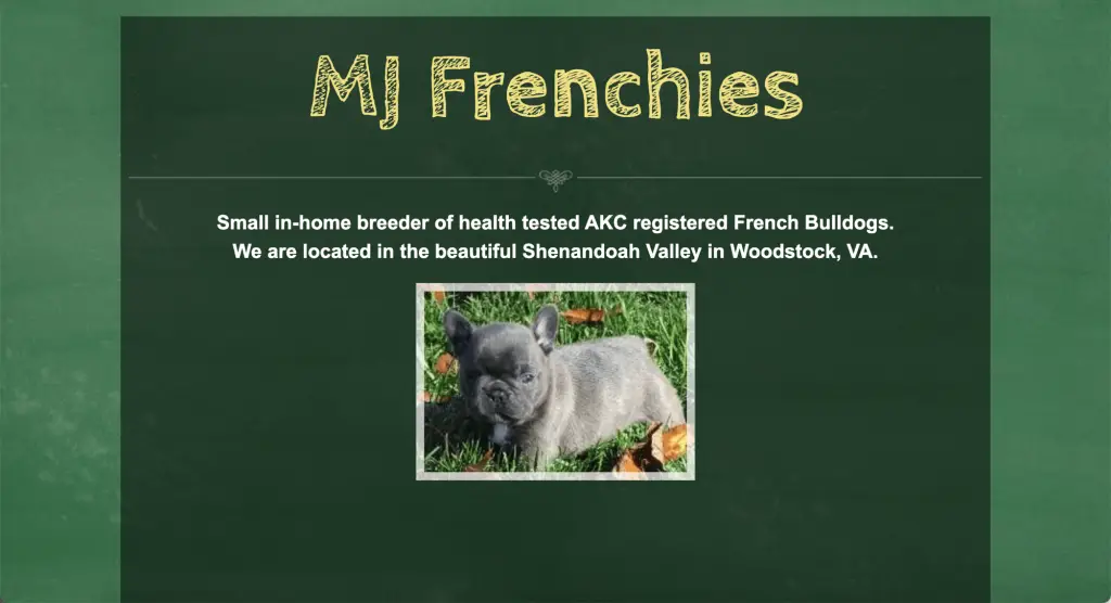 MJ Frenchies Virginia French bulldog breeder