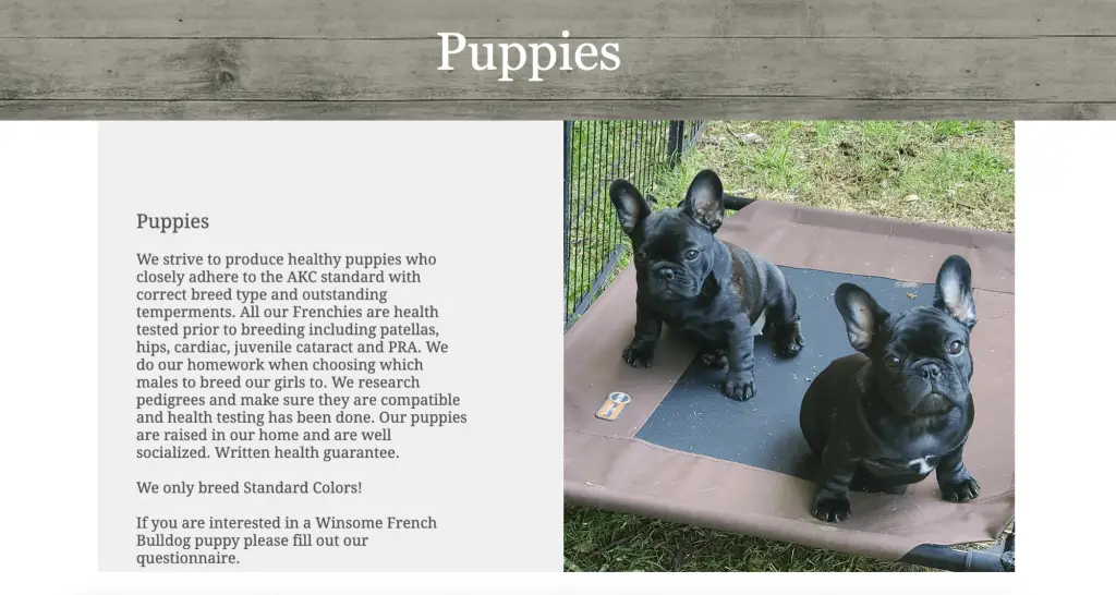 Winsome French Bulldogs