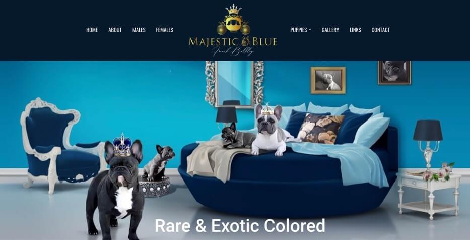 majestic blue french bulldog breeder Arizona