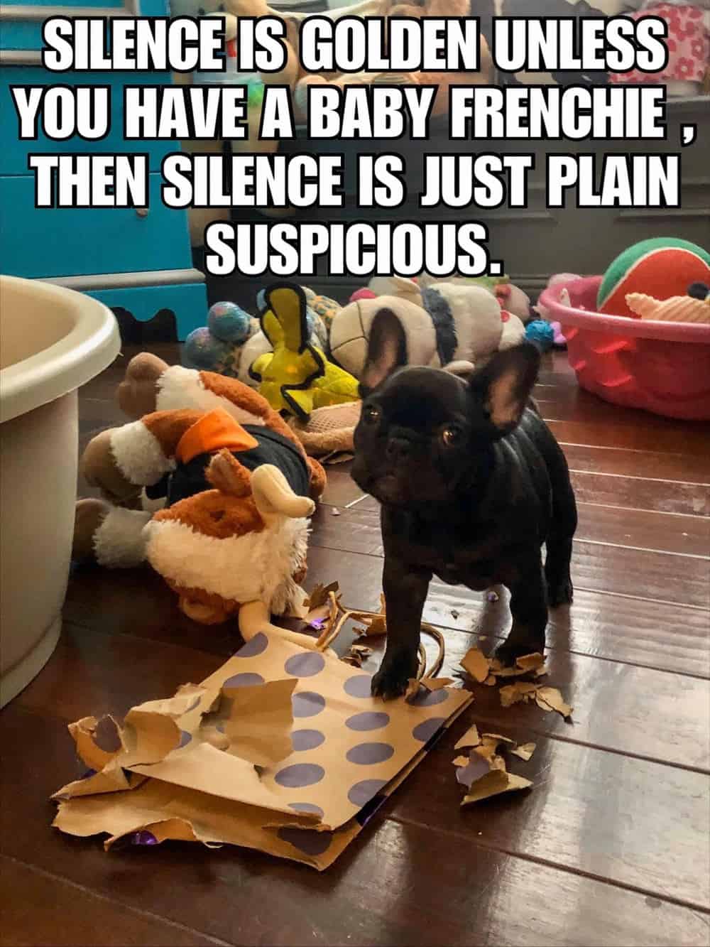 A Collection Of French Bulldog Memes