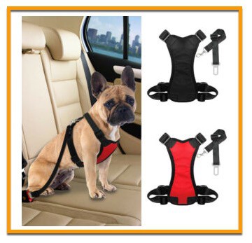 French Bulldog safety in a car