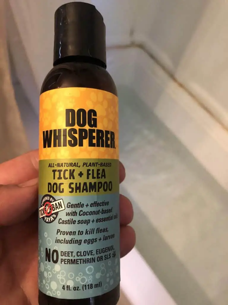 tick and flea shampoo dog whisperer