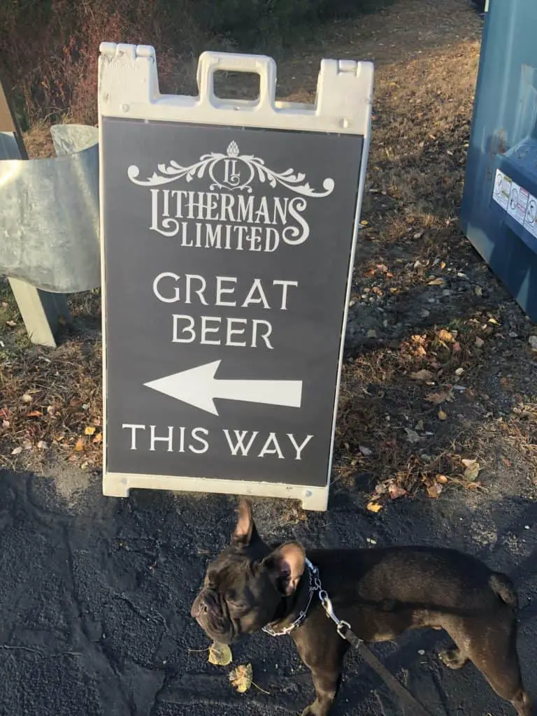 dog friendly brewery
