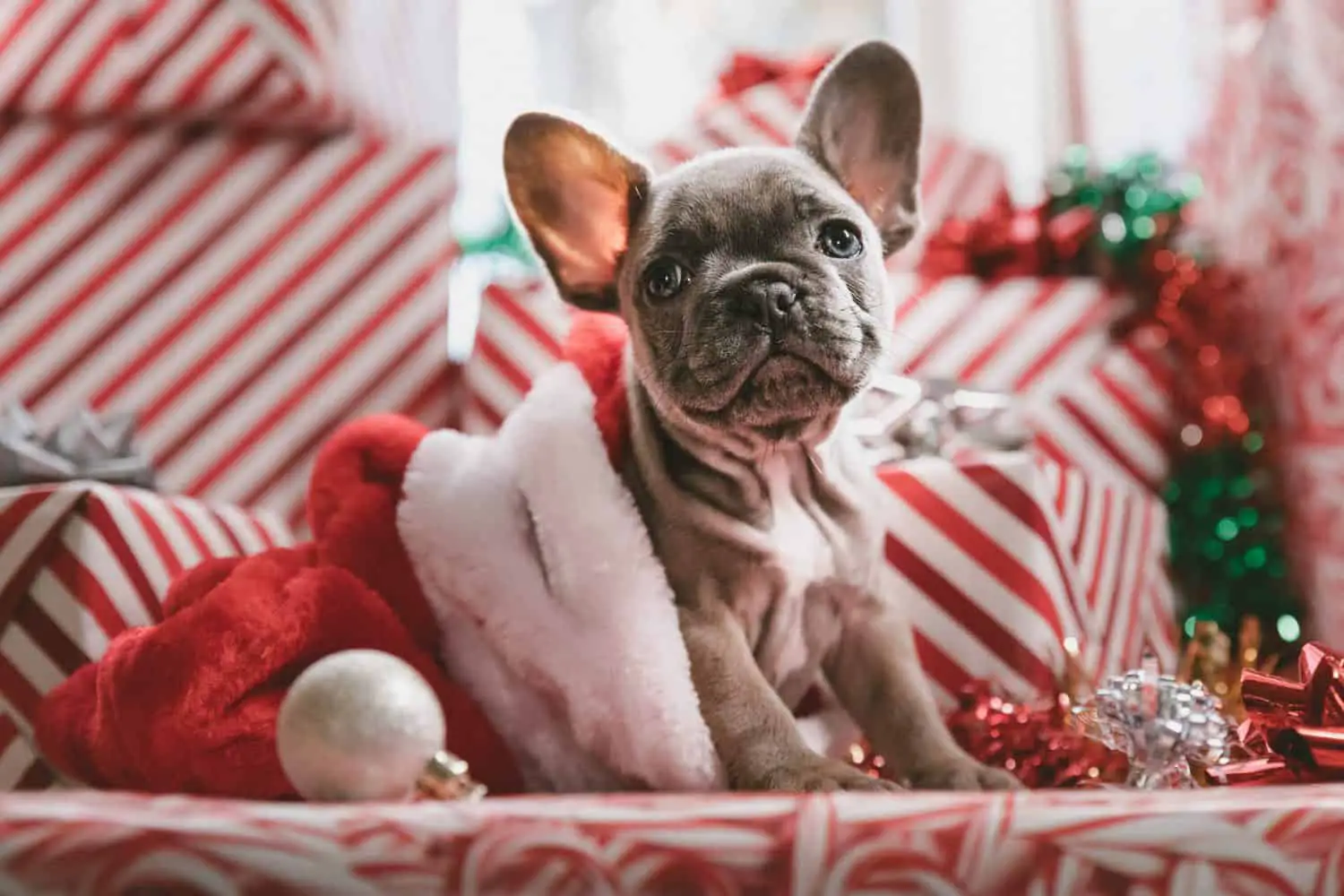 French Bulldog in Santa Boot Ornament 