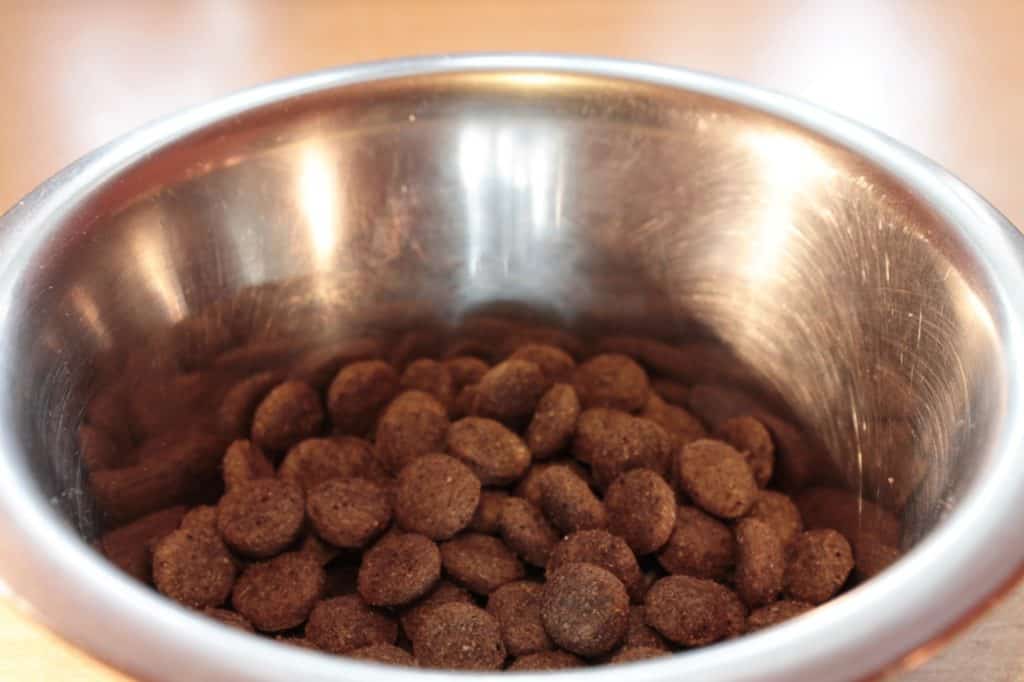 organic dog food