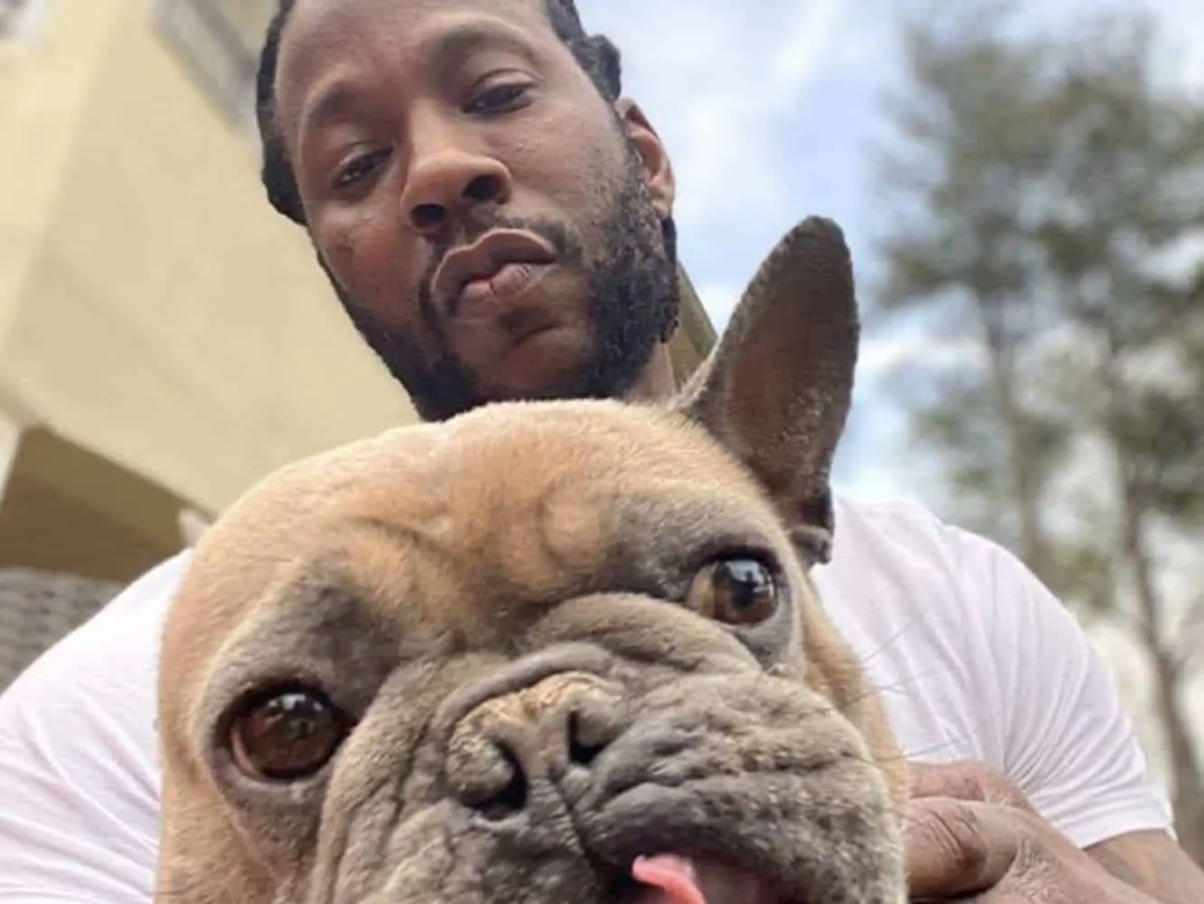  Celebrities French Bulldog in the world Don t miss out 