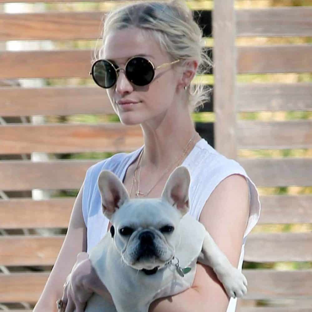 Ashlee Simpson with French Bulldog