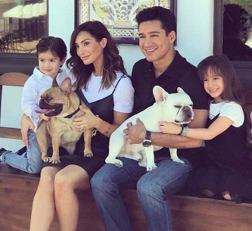 Mario Lopez French Bulldog