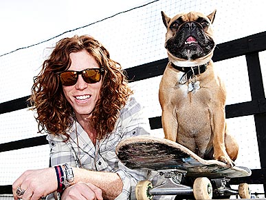 Shaun White French Bulldog