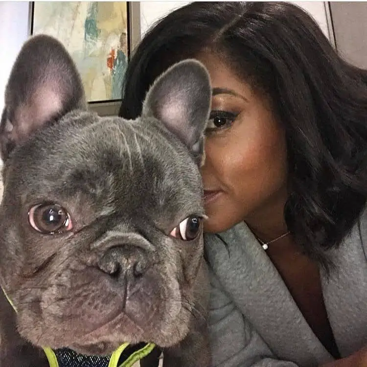 Taraji P. Henson French Bulldog