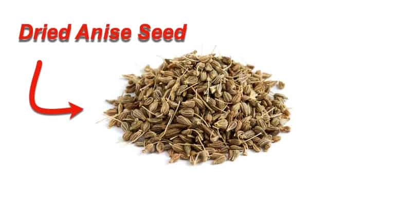 anise seed for dogs