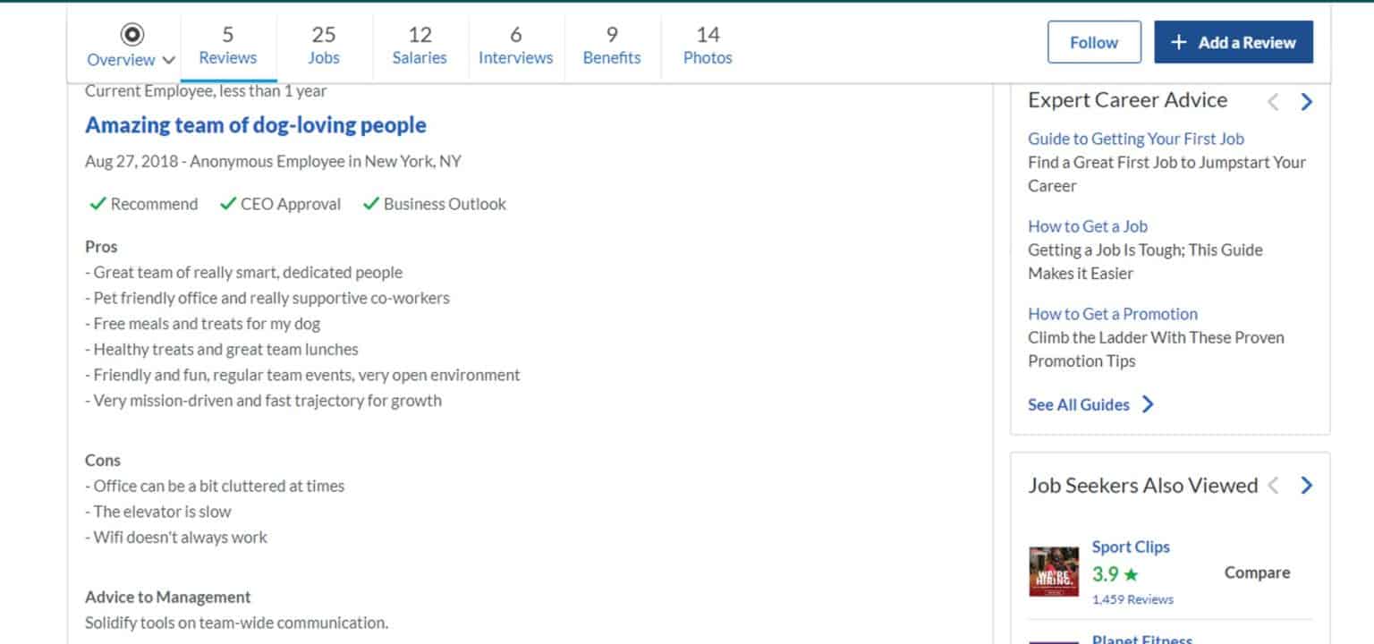 Ollie Dog Food Review Is Ollie’s Fresh Food A Good Fit For Your French