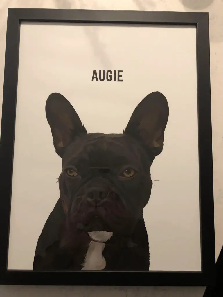 French Bulldog art