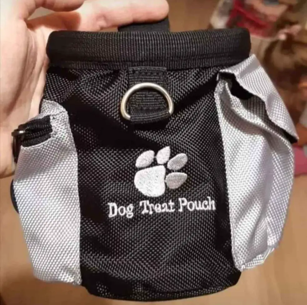 dog treat pouch for Frenchie