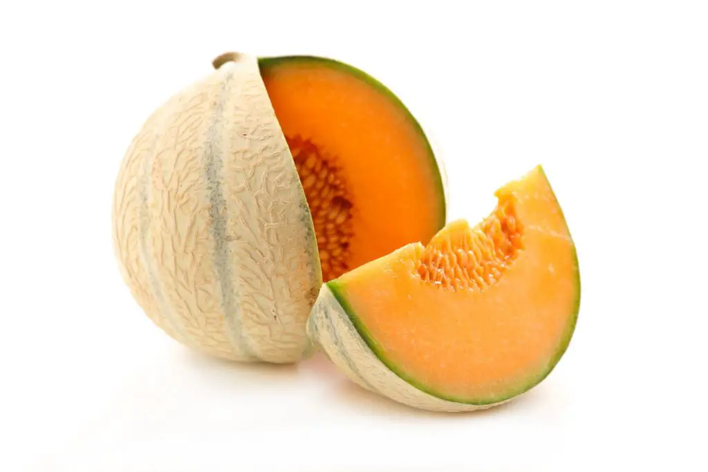 cantaloupe