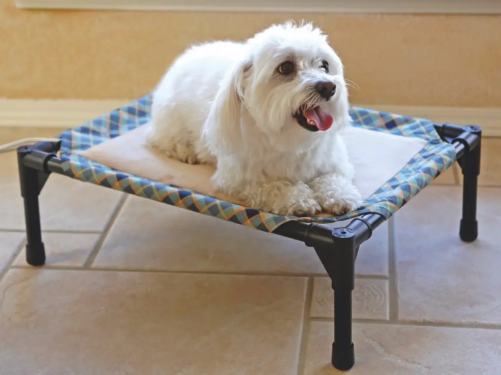 elevated heated dog bed