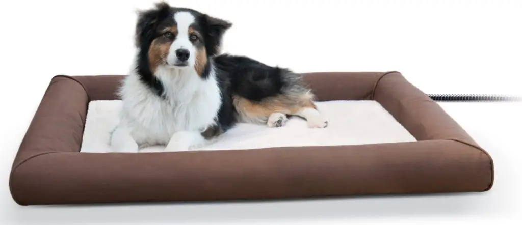 heated dog bed option