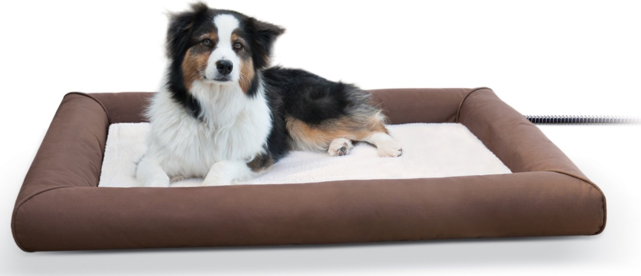 heated dog bed